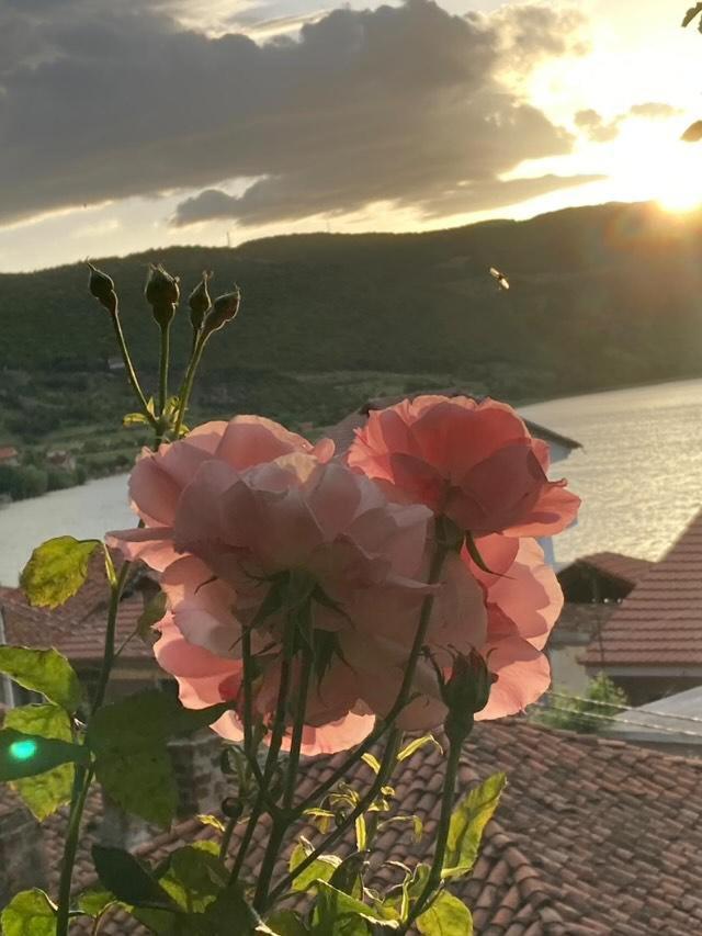 Casa de Férias Roleo *