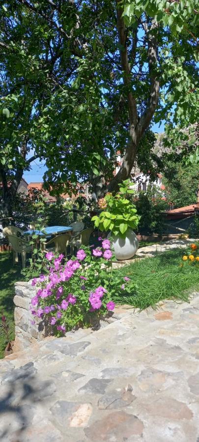 Ferienhaus Roleo Lini